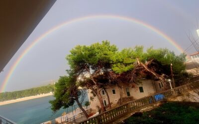 Fotografija mjeseca – prosinac 2025.