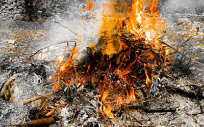 Fotografija mjeseca – veljača 2026.